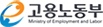 ����뵿��