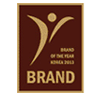 2013 올해의 브랜드 대상 수상